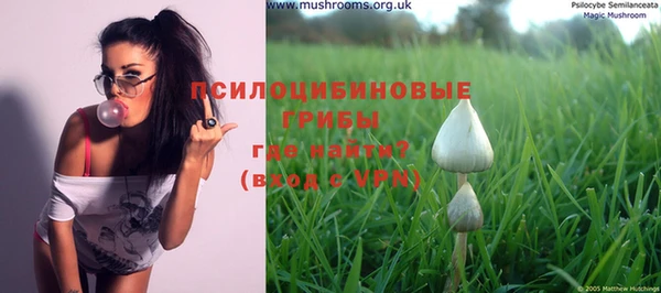 a pvp Медногорск