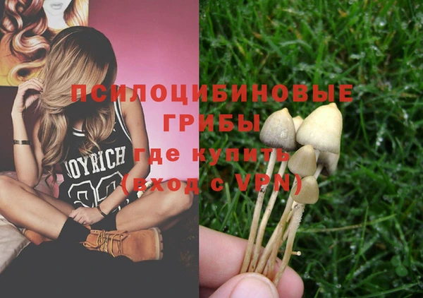 a pvp Медногорск