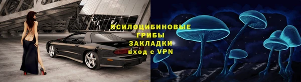 a pvp Медногорск