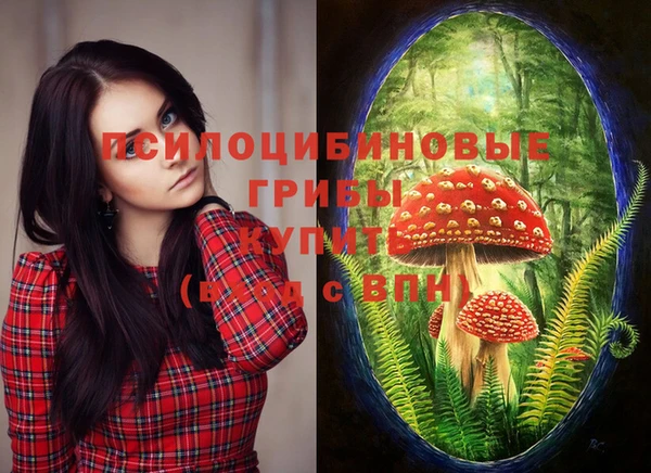 тгк Мегион