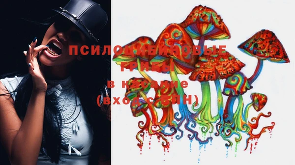 MDMA Медвежьегорск