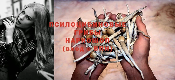 a pvp Медногорск