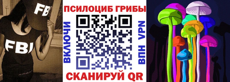 Купить  Сусуман  Псилоцибиновые грибы прущие грибы 